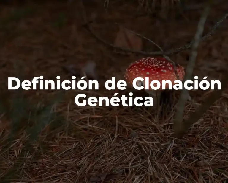 Definición de Clonación Genética