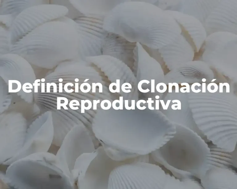 Definición de Clonación Reproductiva
