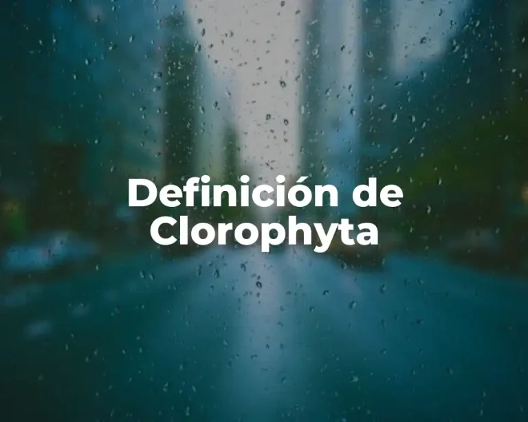Definición de Clorophyta