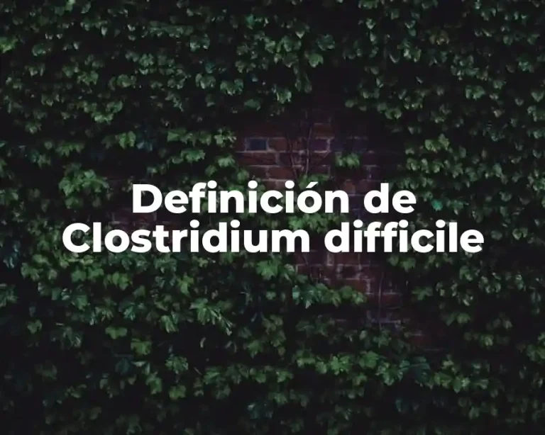 Definición de Clostridium difficile