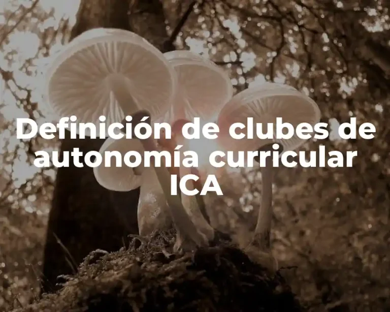 Definición de clubes de autonomía curricular ICA