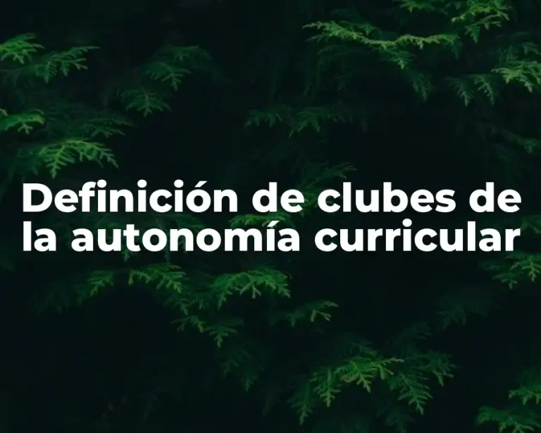 Definición de clubes de la autonomía curricular