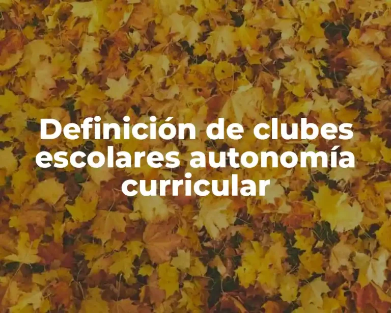 Definición de clubes escolares autonomía curricular