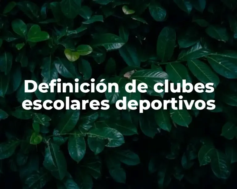 Definición de clubes escolares deportivos