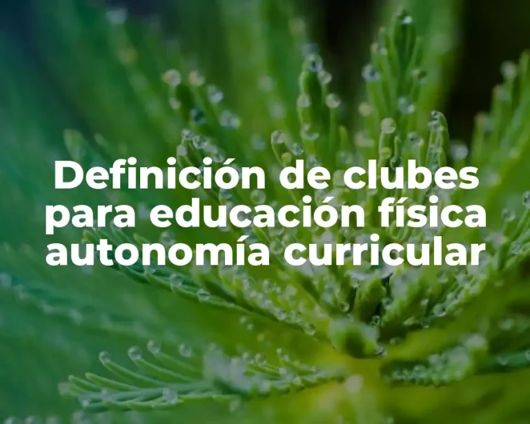Definición de clubes para educación física autonomía curricular