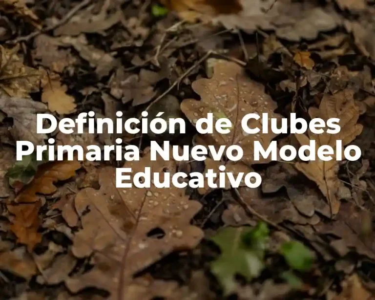 Definición de Clubes Primaria Nuevo Modelo Educativo