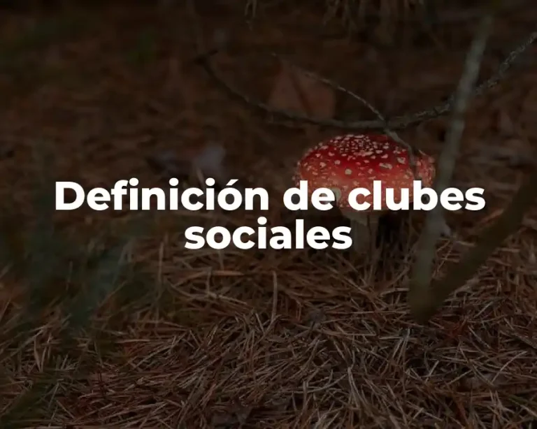 Definición de clubes sociales