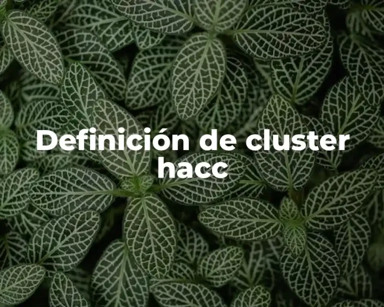Definición de cluster hacc