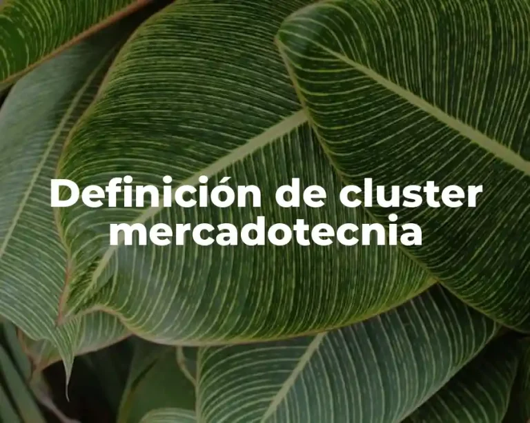 Definición de cluster mercadotecnia