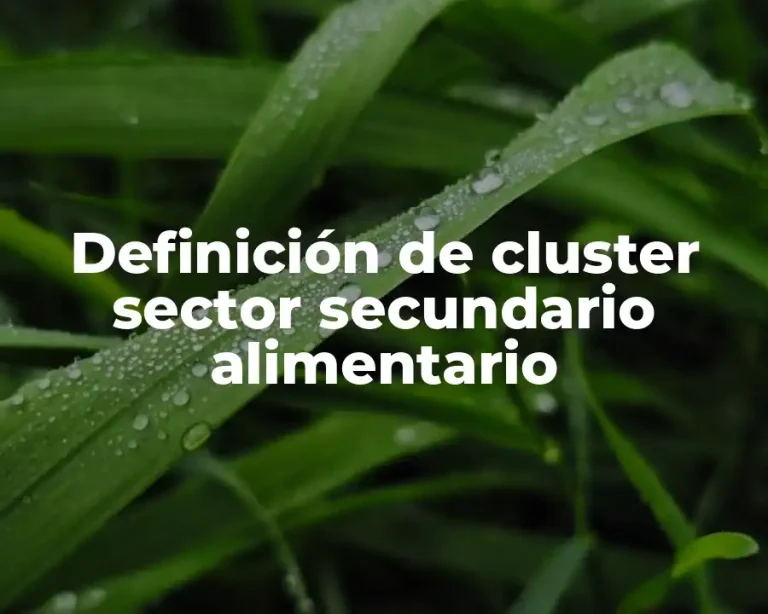 Definición de cluster sector secundario alimentario