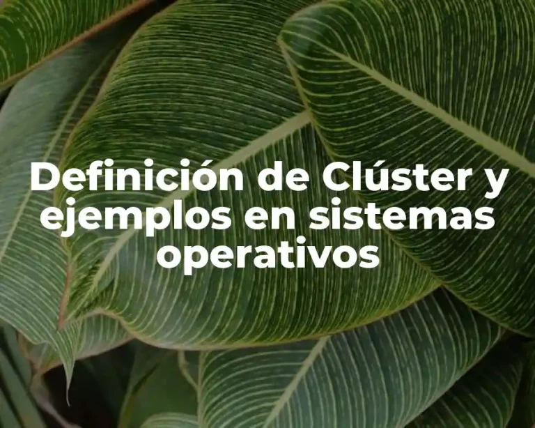 Definición de Clúster y ejemplos en sistemas operativos
