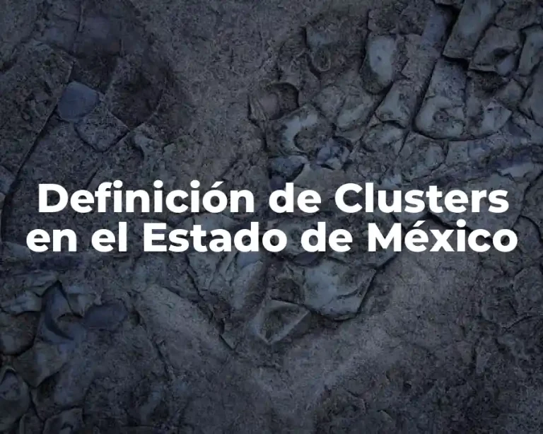 Definición de Clusters en el Estado de México