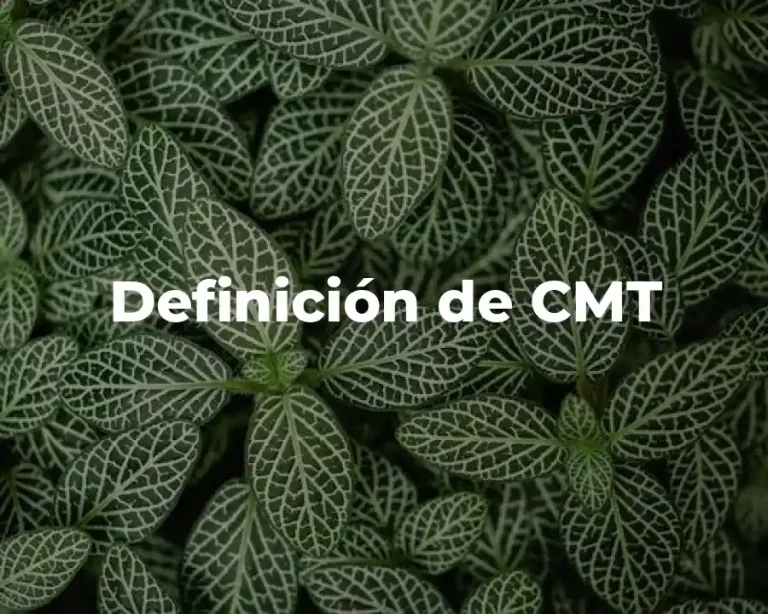 Definición de CMT