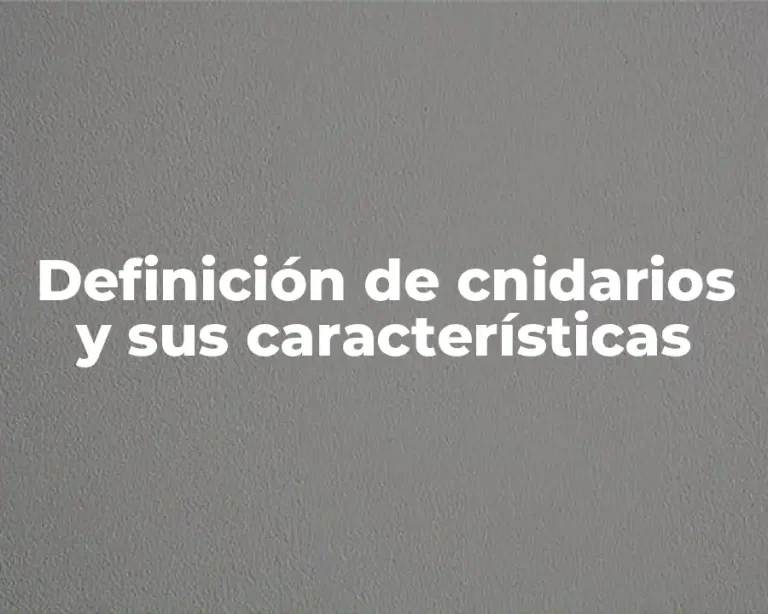 Definición de cnidarios y sus características