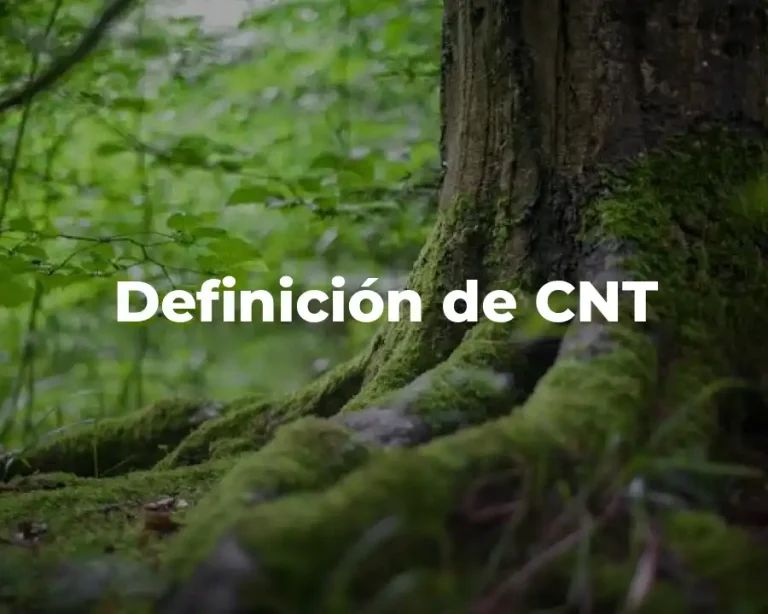 Definición de CNT