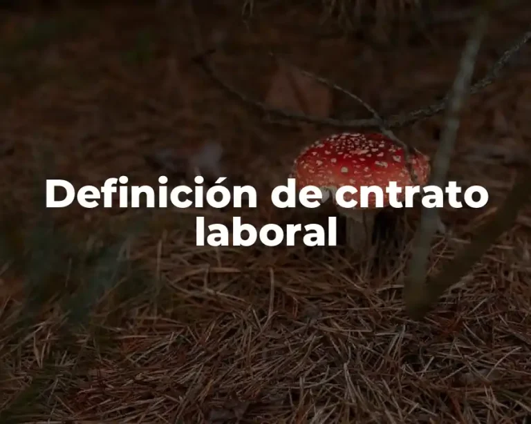 Definición de cntrato laboral