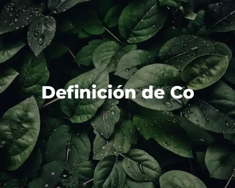 Definición de Co