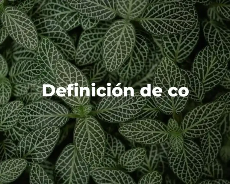 Definición de co