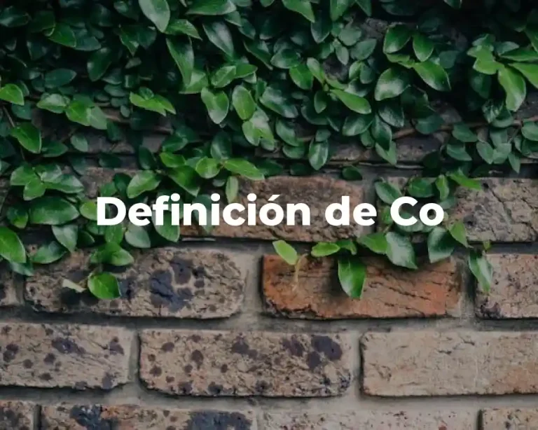 Definición de Co