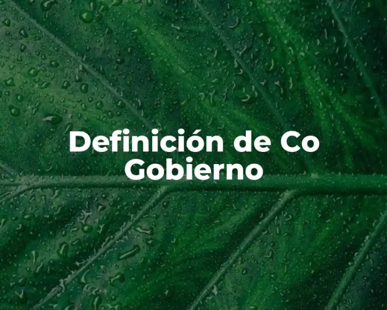 Definición de Co Gobierno