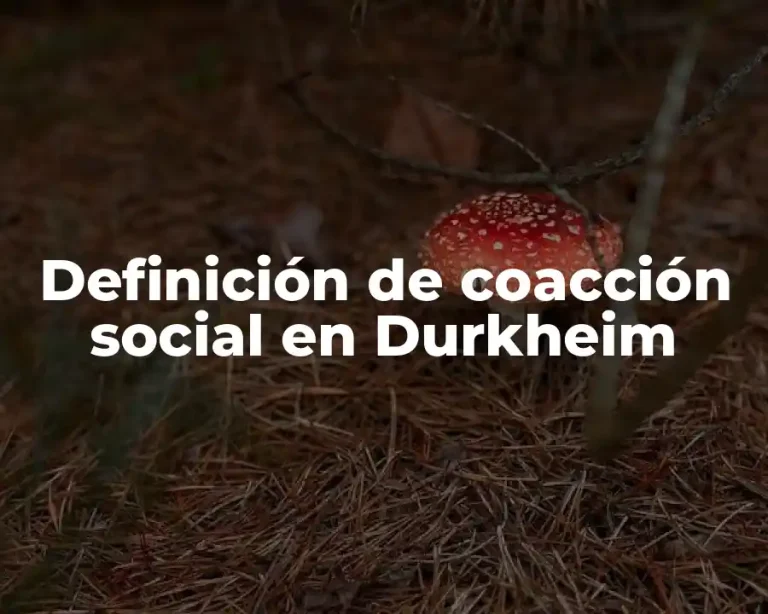 Definición de coacción social en Durkheim