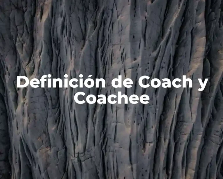 Definición de Coach y Coachee