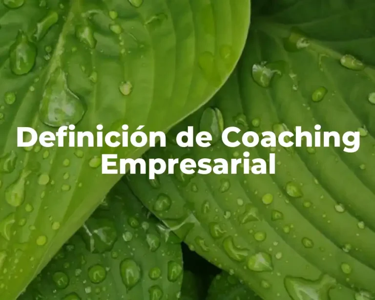 Definición de Coaching Empresarial