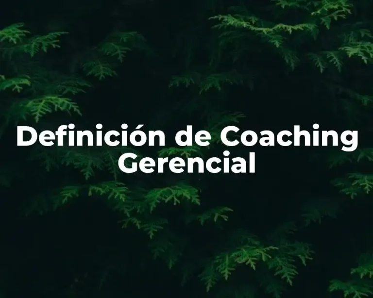 Definición de Coaching Gerencial