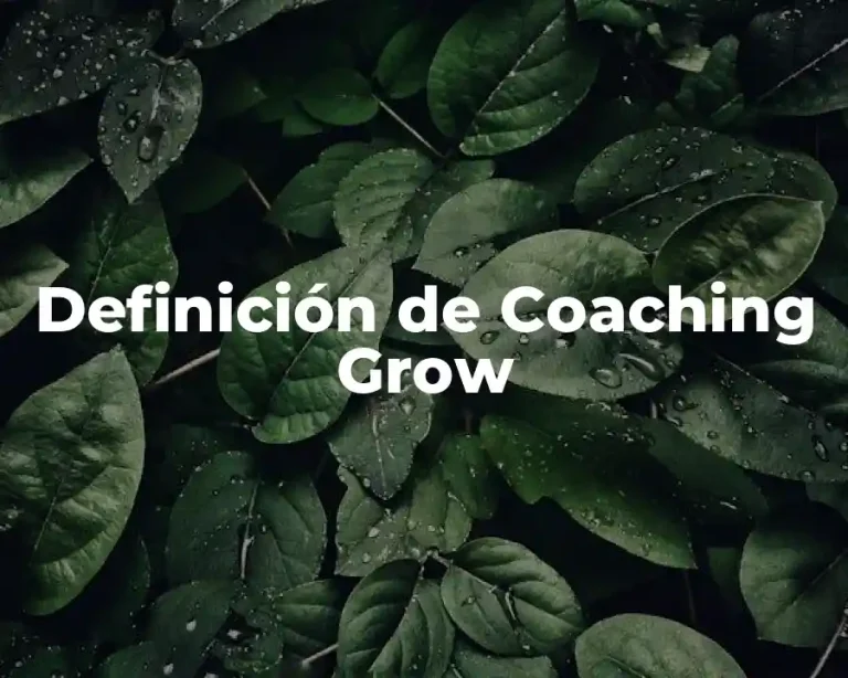 Definición de Coaching Grow