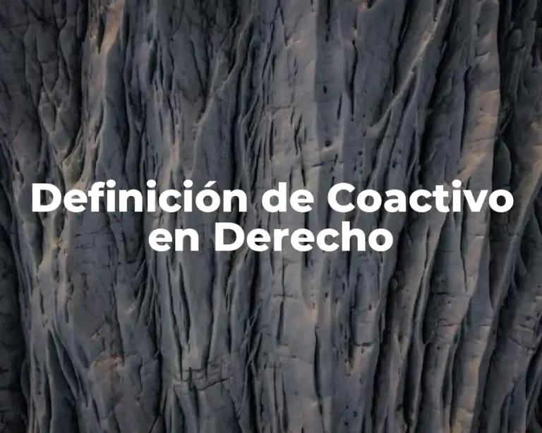 Definición de Coactivo en Derecho