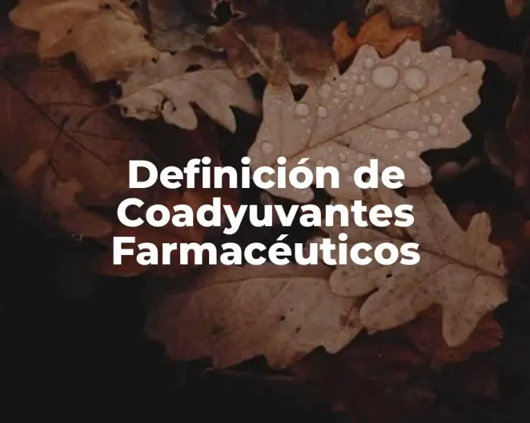 Definición de Coadyuvantes Farmacéuticos