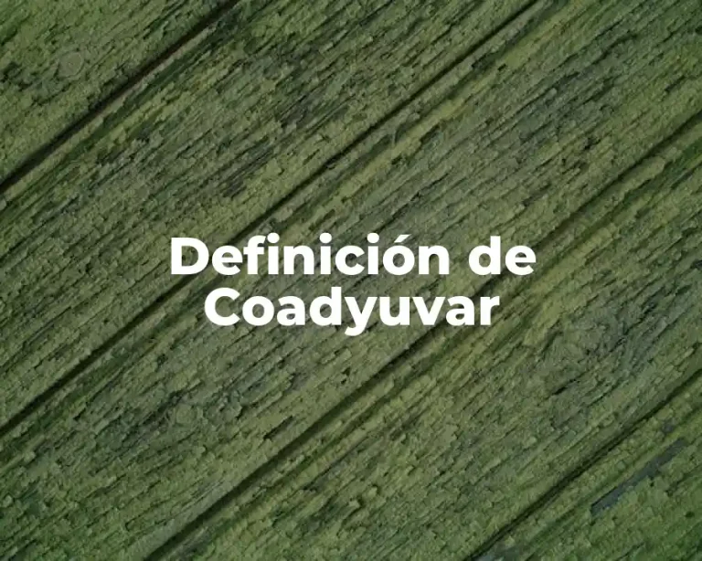 Definición de Coadyuvar