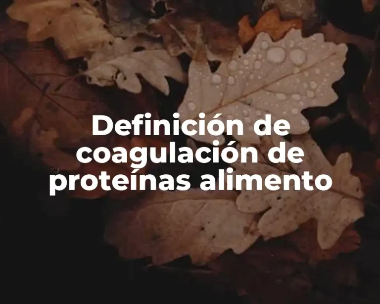 Definición de coagulación de proteínas alimento