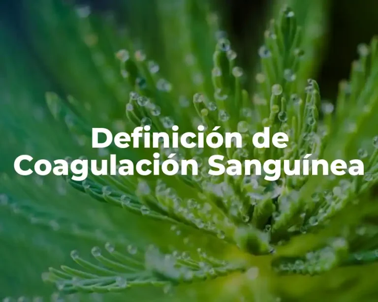 Definición de Coagulación Sanguínea