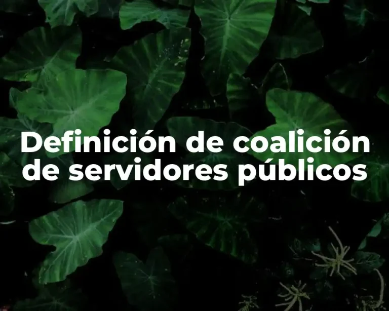 Definición de coalición de servidores públicos