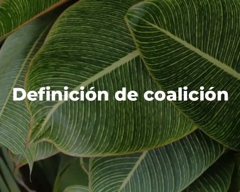 Definición de coalición