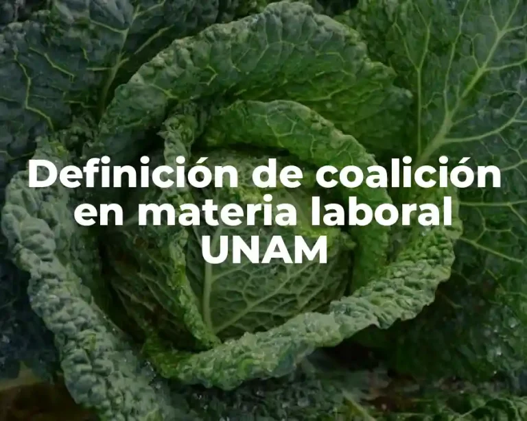 Definición de coalición en materia laboral UNAM