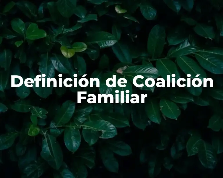 Definición de Coalición Familiar