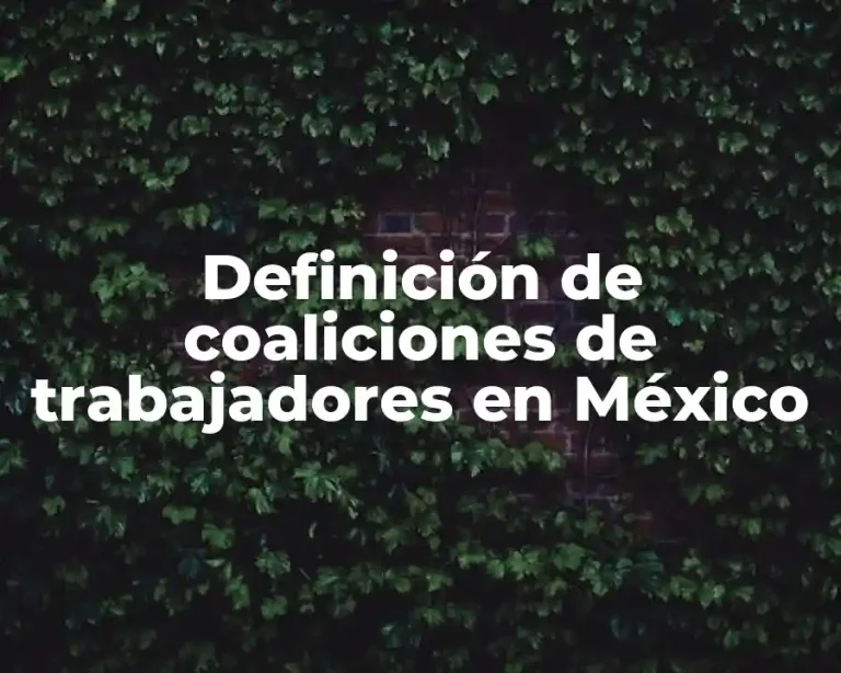 Definición de coaliciones de trabajadores en México