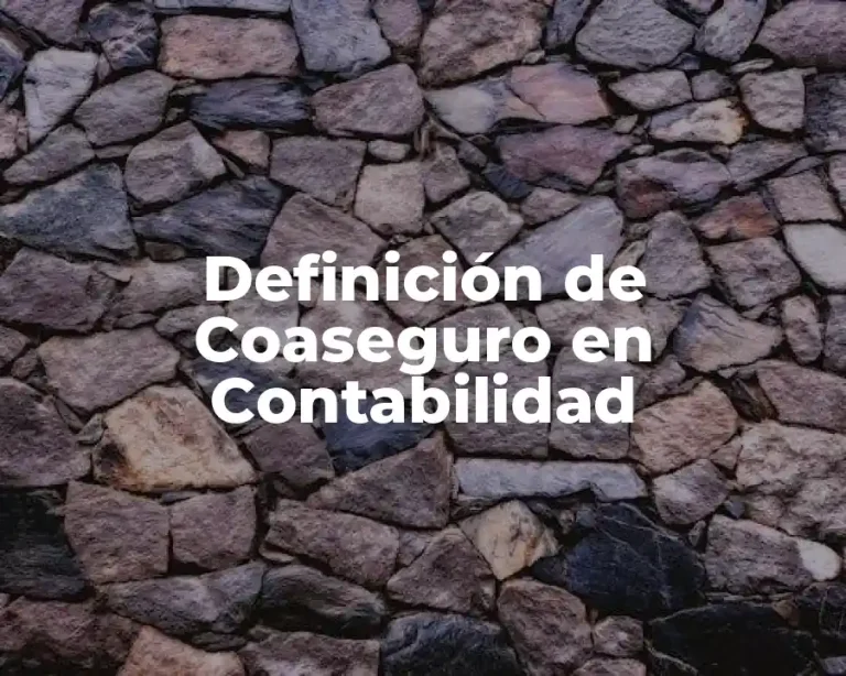 Definición de Coaseguro en Contabilidad