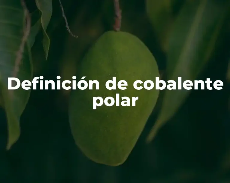 Definición de cobalente polar