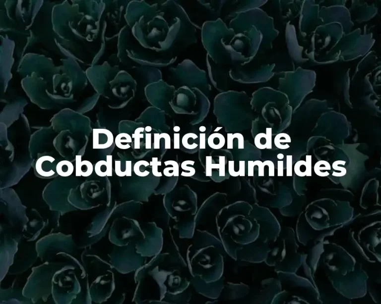 Definición de Cobductas Humildes