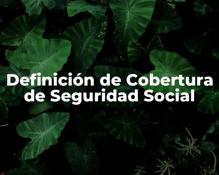 Definición de Cobertura de Seguridad Social