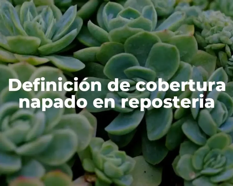 Definición de cobertura napado en reposteria