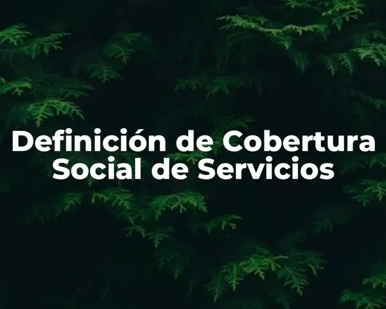 Definición de Cobertura Social de Servicios