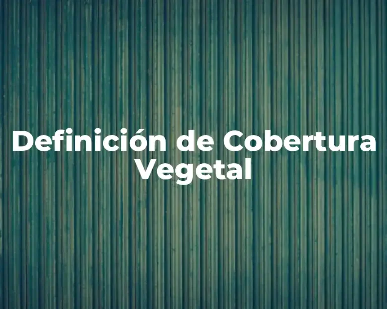 Definición de Cobertura Vegetal