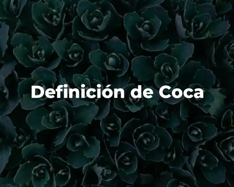 Definición de Coca
