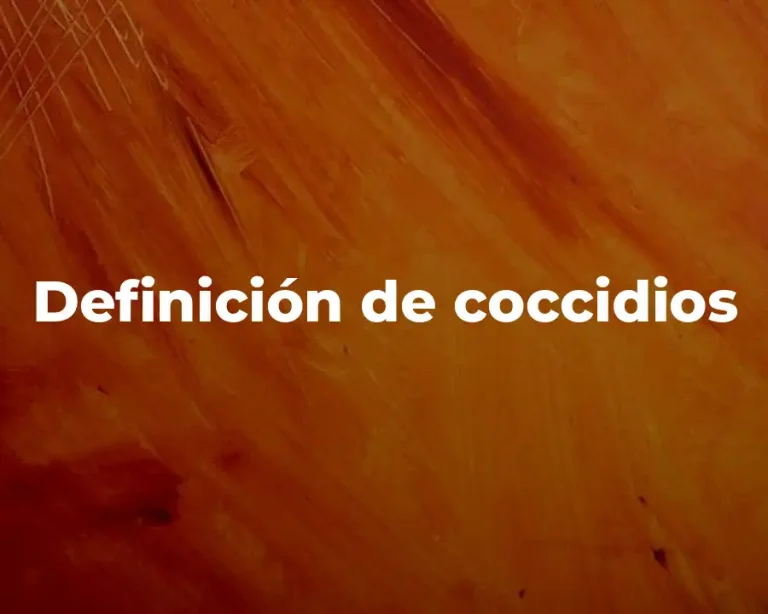 Definición de coccidios