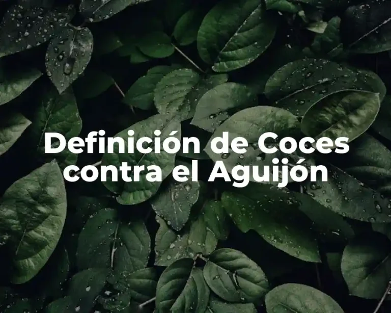 Definición de Coces contra el Aguijón