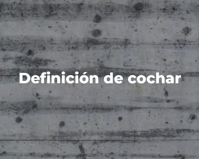 Definición de cochar